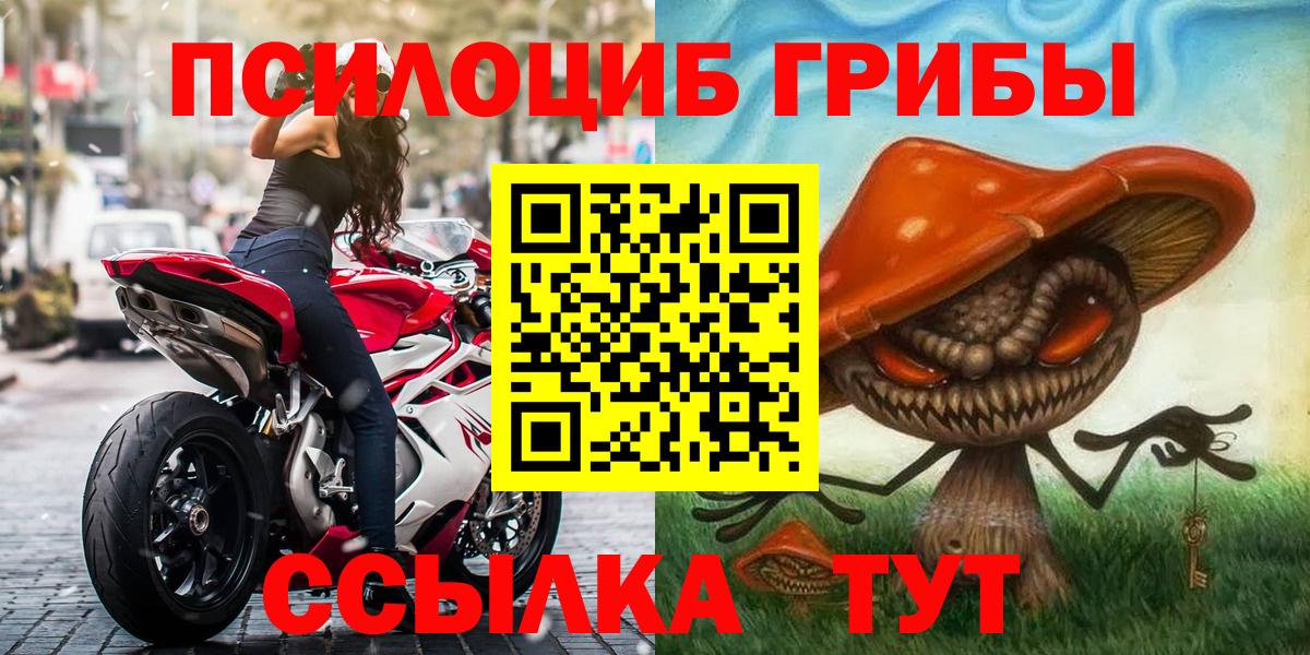 Бузулук  Псилоцибиновые грибы мицелий  Вход с VPN 